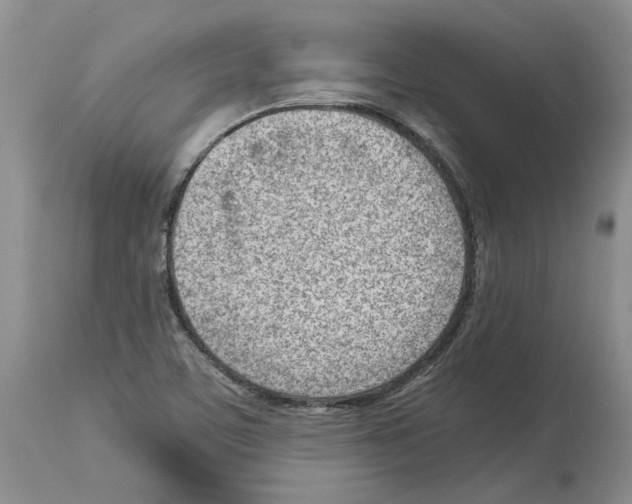 X0000114061459200911161117