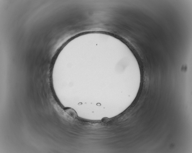 X0000114061460200911161117