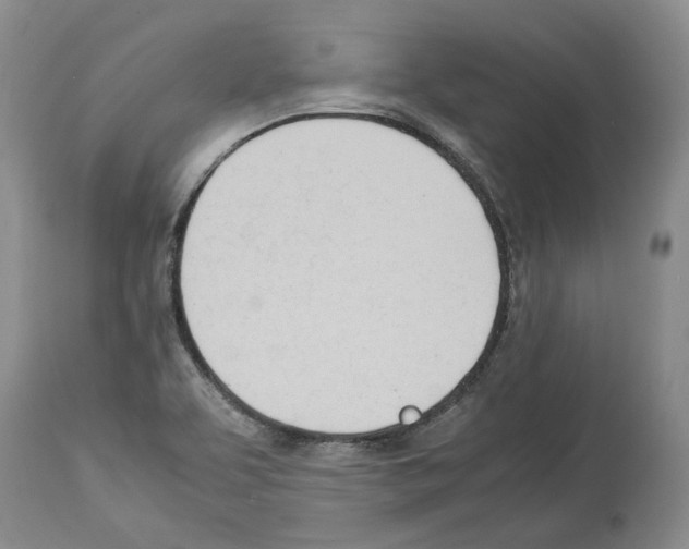 X0000114061463200911161117