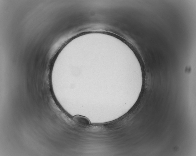 X0000114061464200911161117