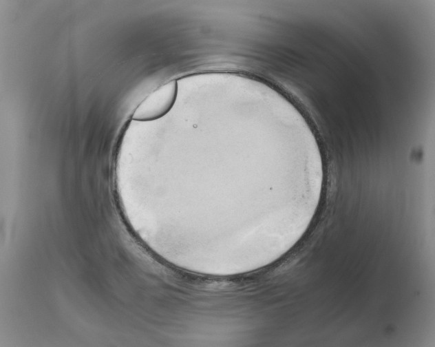 X0000114061467200911161117