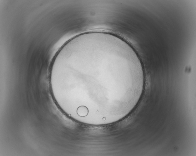 X0000114061470200911161117