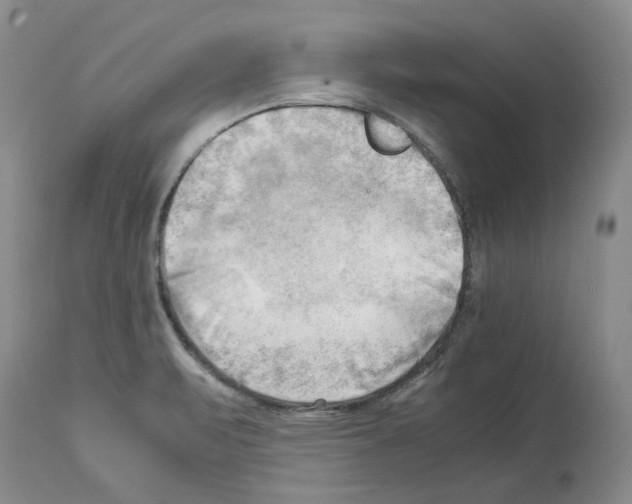 X0000114061471200911161117