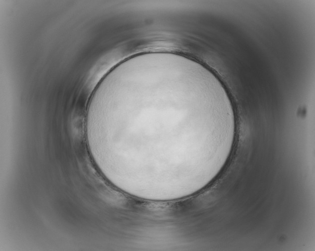 X0000114061473200911161117