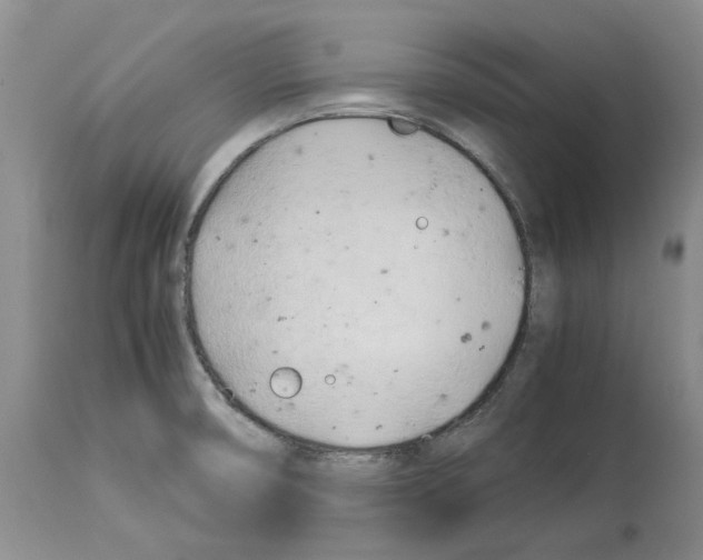 X0000114061474200911161117