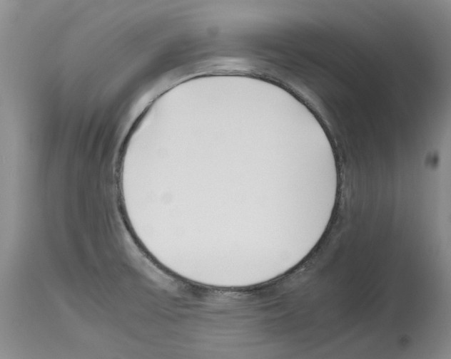 X0000114061475200911161117