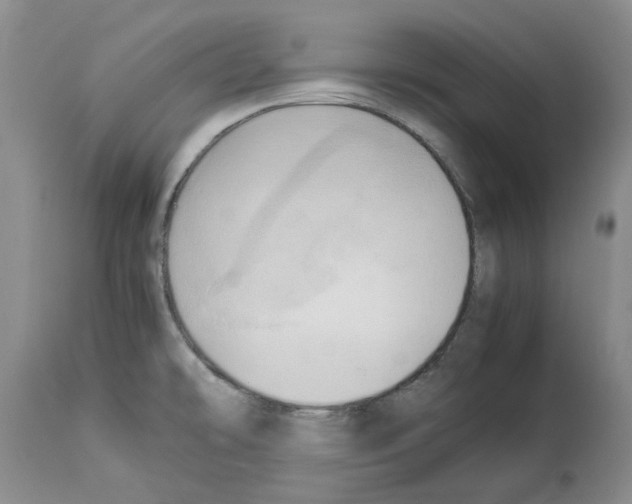 X0000114061478200911161117