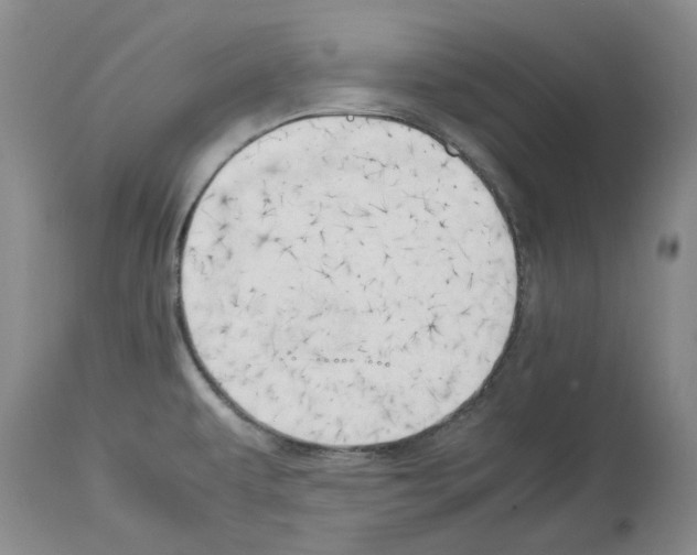 X0000114061479200911161117