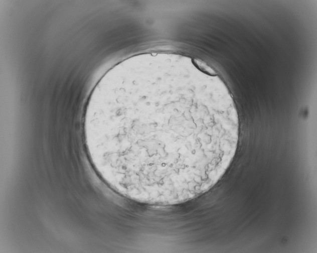 X0000114061483200911161117