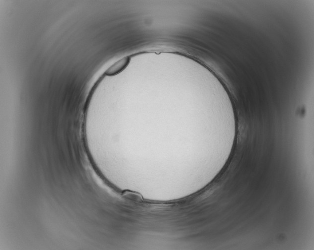 X0000114061484200911161117