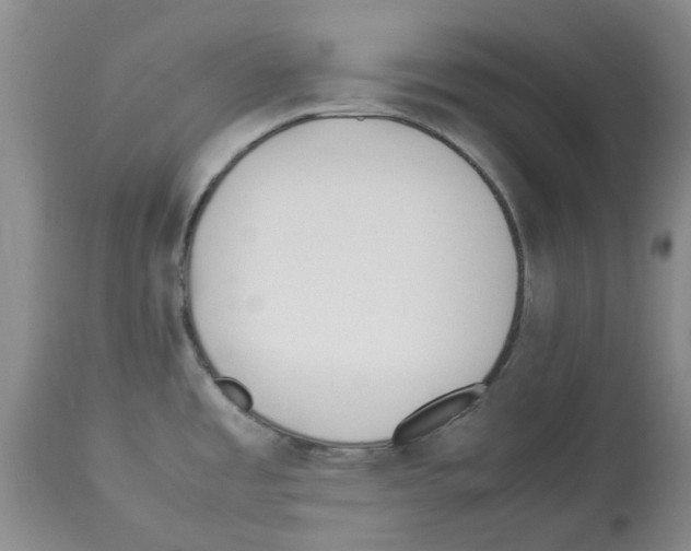 X0000114061485200911161117