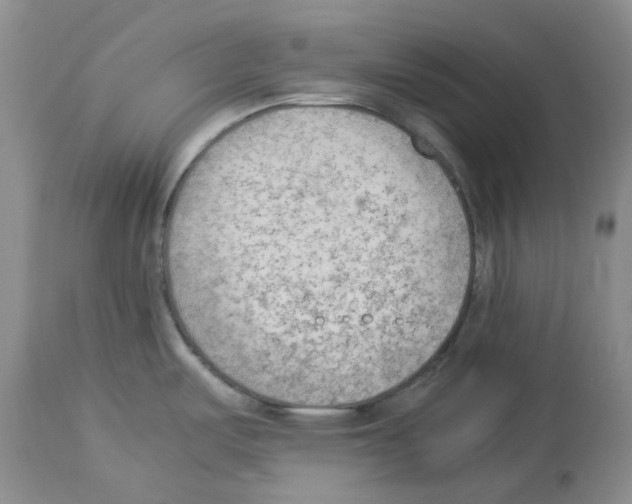 X0000114061487200911161117