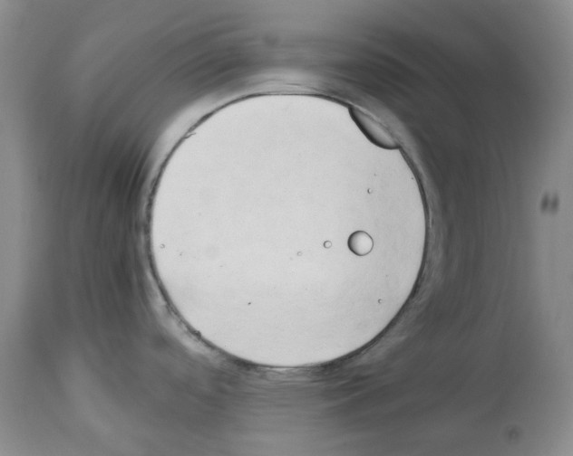 X0000114061488200911161117