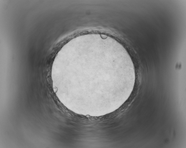 X0000114061494200911161116