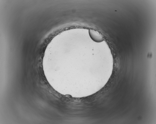 X0000114061495200911161116