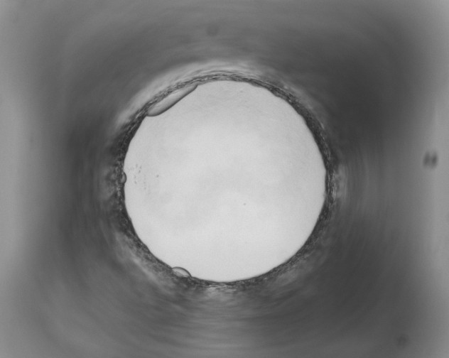 X0000114061496200911161116