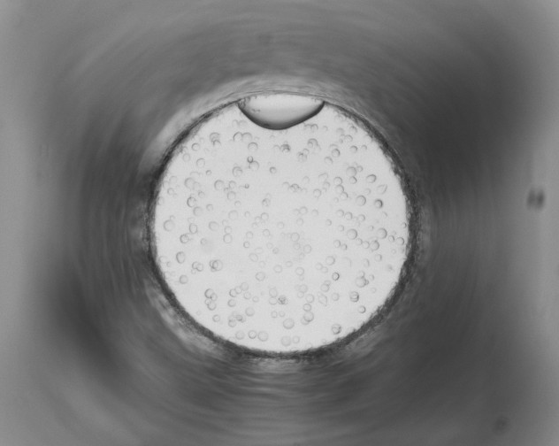 X0000114061499200911161116