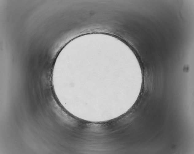 X0000114061500200911161116