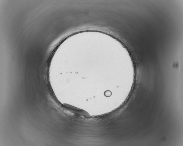 X0000114061502200911161116