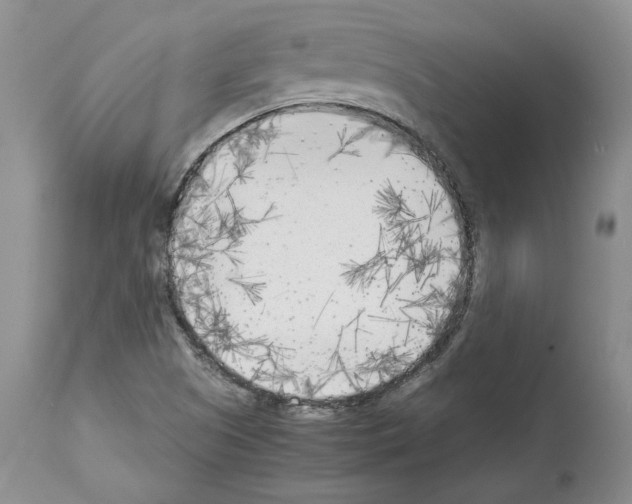 X0000114061505200911161116