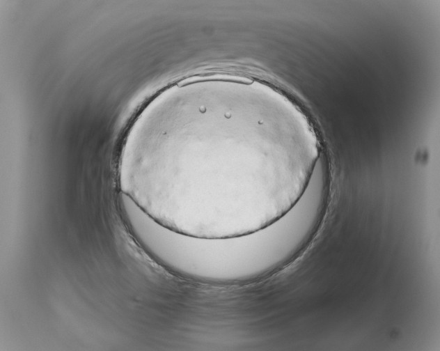 X0000114061506200911161117