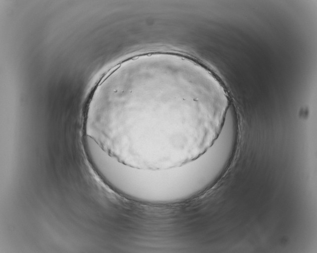 X0000114061508200911161117