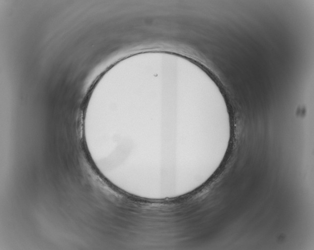 X0000114061510200911161117