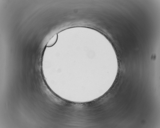 X0000114061512200911161117