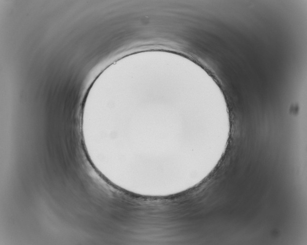 X0000114061516200911161117