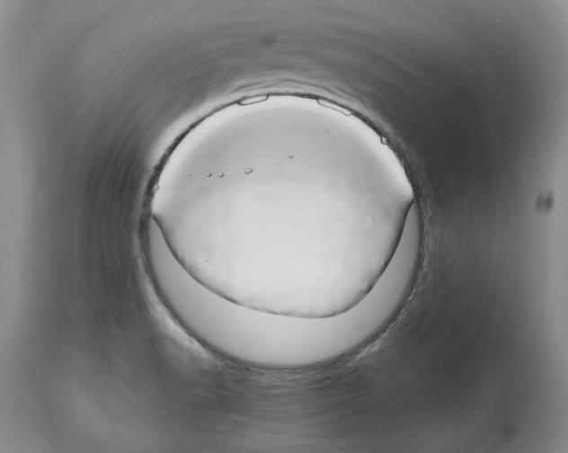 X0000114061518200911161117