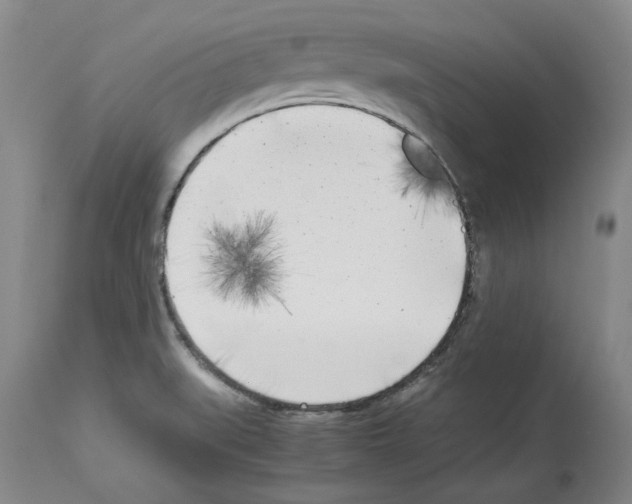 X0000114061519200911161117