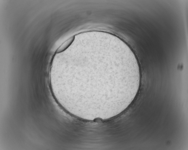 X0000114061520200911161117