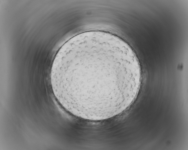 X0000114061521200911161117