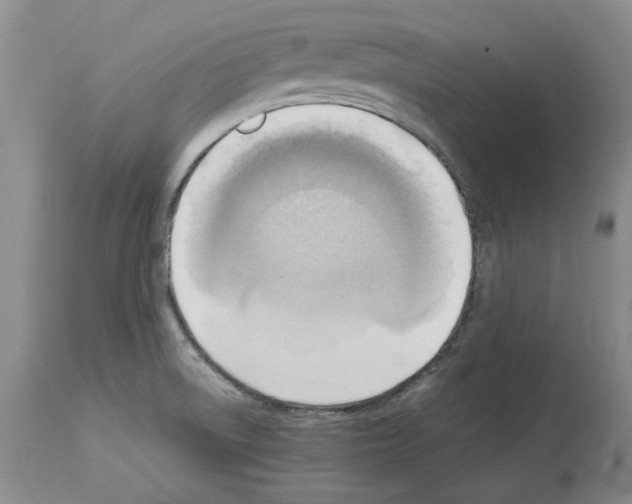 X0000114061522200911161117