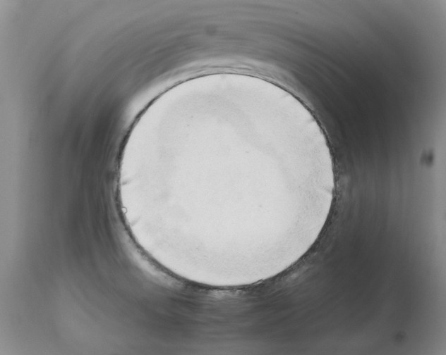 X0000114061523200911161117