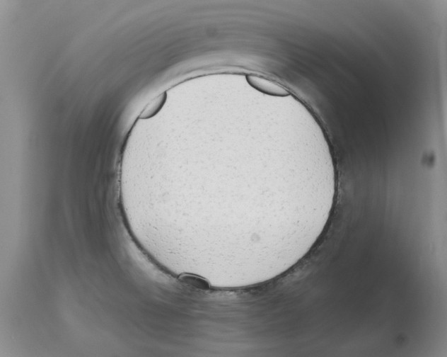 X0000114061524200911161117