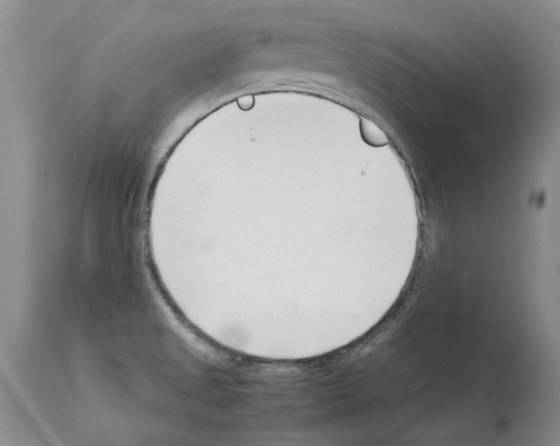 X0000114061525200911161117