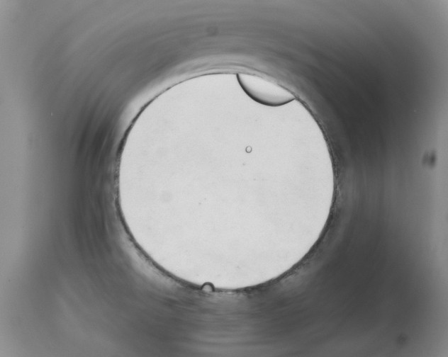 X0000114061526200911161117