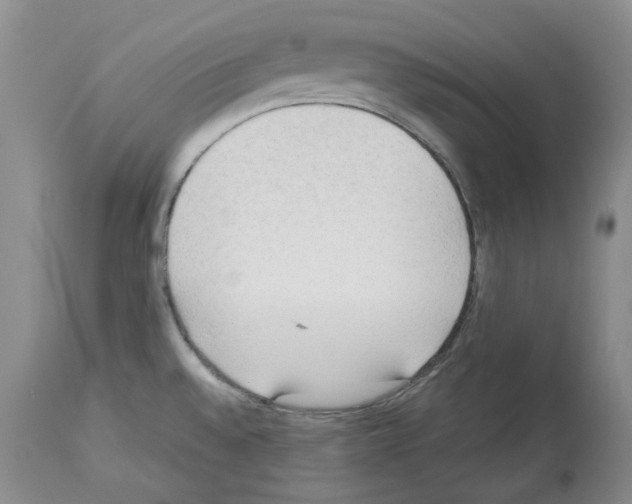 X0000114061528200911161117