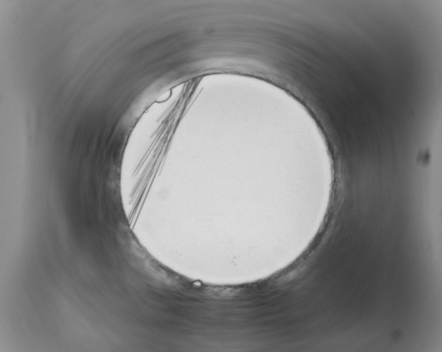 X0000114061529200911161117