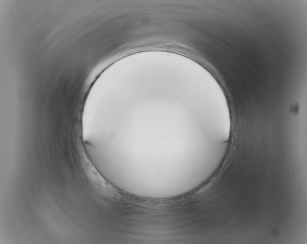 X0000114061530200911161117