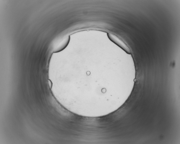 X0000114061532200911161117