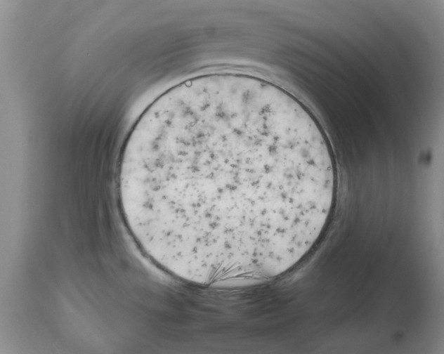 X0000114061533200911161117