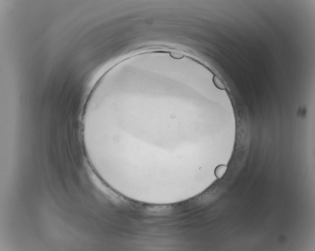 X0000114061535200911161117