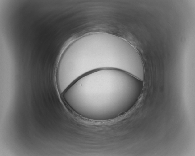 X0000114070003200910051025
