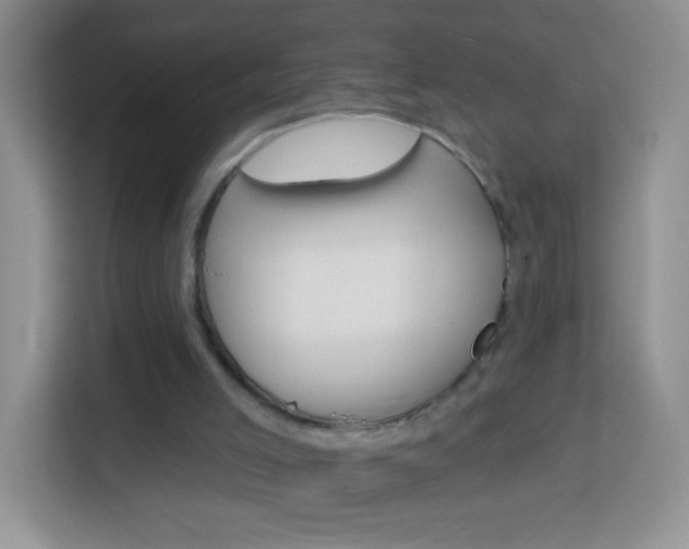 X0000114070005200910051025