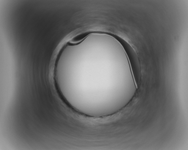 X0000114070007200910051025