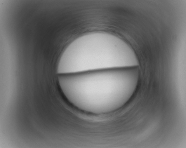 X0000114070028200910051025