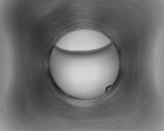 X0000114070040200910051024