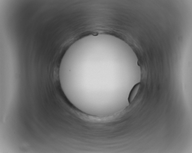 X0000114070043200910051024